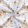 Printed Cotton ELAFINA White / Natural Multicolored